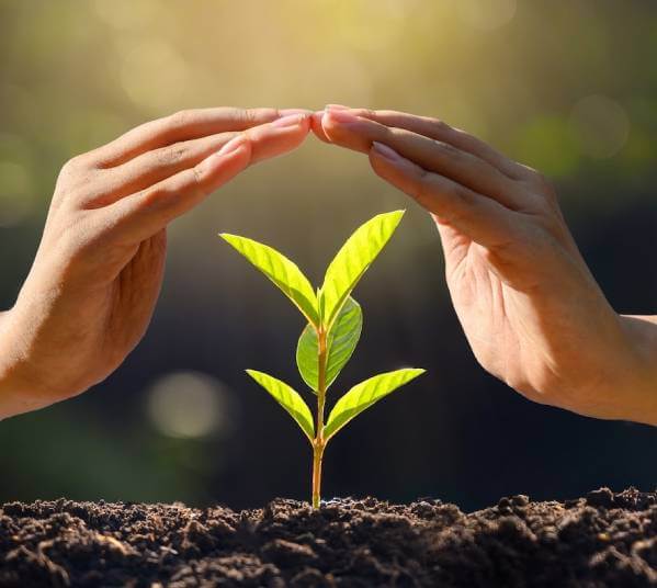 Climate and Carbon Solutions