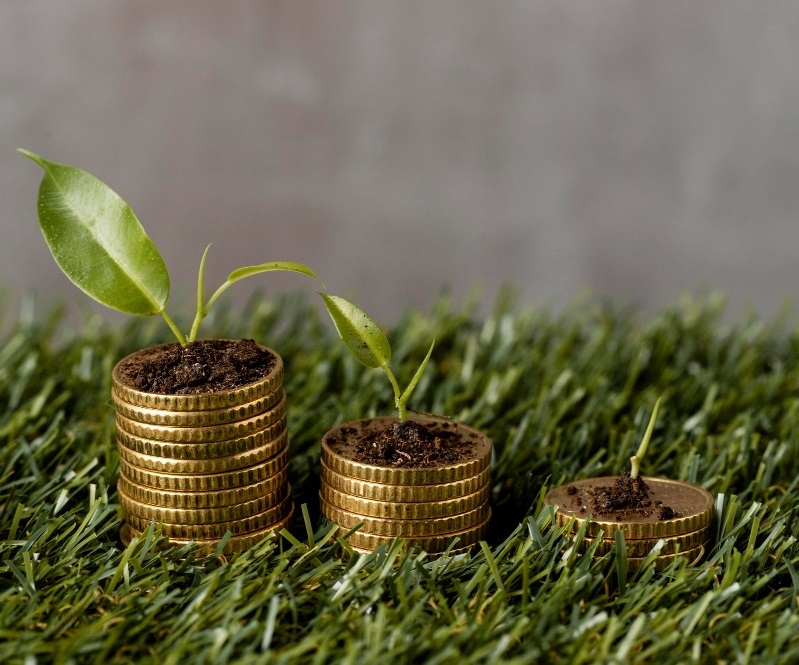 Carbon Credit Trading